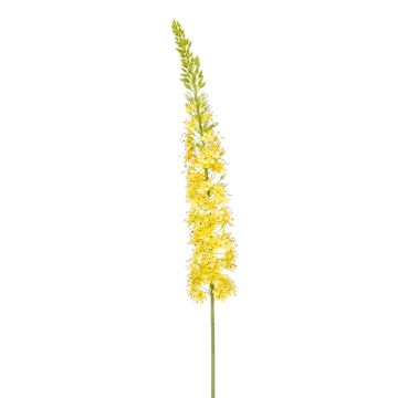 Grande fiore artificiale Candela della steppa NITTI, giallo, 130 cm