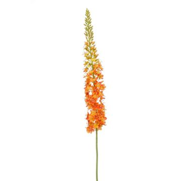 Grande fiore artificiale Candela della steppa NITTI, arancione, 130 cm