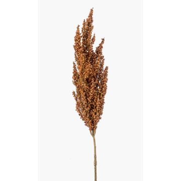 Ramo artificiale di sorgo VANCE con spighe, marrone chiaro, 80 cm