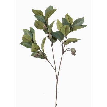 Ramo artificiale di eucalipto VIZIMIR con frutti, verde, 80 cm