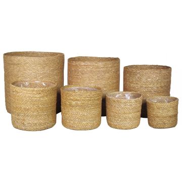 Cestino per fiori AMPARO, alghe marine, 7 pezzi, beige, 12-30 cm, Ø 13-32 cm Cestino per fiori AMPARO, alghe marine, 7 pezzi, beige, 12-30 cm, Ø 13-32 cm