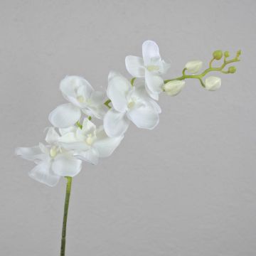 Ramo di orchidea Phalaenopsis artificiale AMARNE, bianco, 90 cm