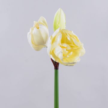 Amaryllis artificiale GRELTA, crema-giallo, 80cm Amaryllis artificiale GRELTA, crema-giallo, 80cm