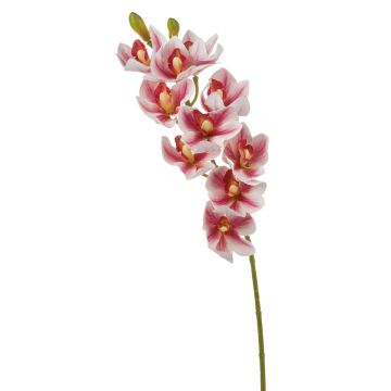 Ramo di orchidea Cymbidium artificiale LANAKILA, rosa-bianco, 75 cm Ramo di orchidea Cymbidium artificiale LANAKILA, rosa-bianco, 75 cm
