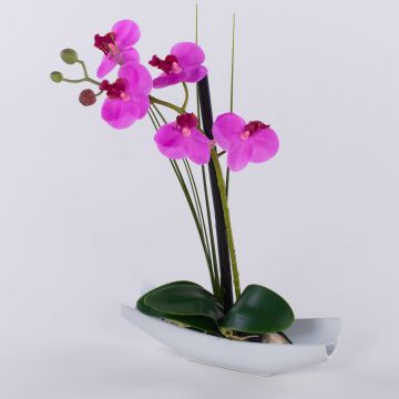 Orchidea artificiale Phalaenopsis YANNIE, canna, vaso in ceramica, cerise, 30 cm Orchidea artificiale Phalaenopsis YANNIE, canna, vaso in ceramica, cerise, 30 cm