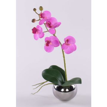Orchidea decorativa Phalaenopsis ZARMINAH in vaso decorativo, radici, cerise, 35 cm Orchidea decorativa Phalaenopsis ZARMINAH in vaso decorativo, radici, cerise, 35 cm
