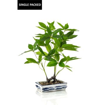 Bonsai artificiale di castagno della fortuna IVANO in ciotola in ceramica decorata, verde, 60 cm Bonsai artificiale di castagno della fortuna IVANO in ciotola in ceramica decorata, verde, 60 cm
