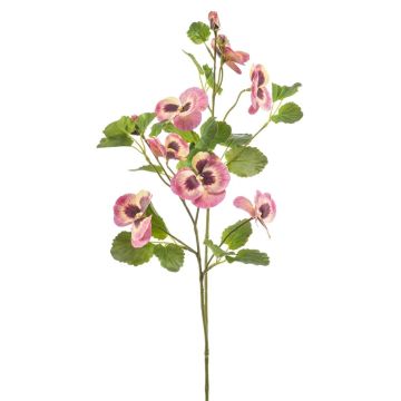 Ramo decorativo di viole del pensiero EMOTI, rosa-giallo, 85 cm Ramo decorativo di viole del pensiero EMOTI, rosa-giallo, 85 cm