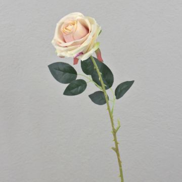 Rosa artificiale ELEAZAR, rosa crema, 65 cm Rosa artificiale ELEAZAR, rosa crema, 65 cm