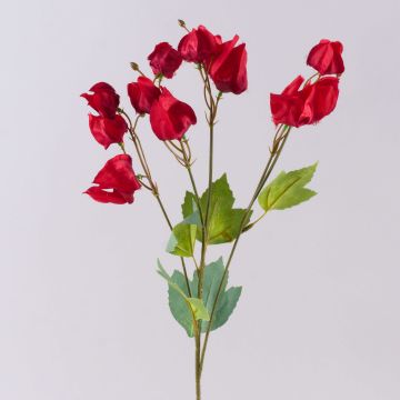 Ramo artificiale Physalis SEVERINA con frutti, rosso, 60cm Ramo artificiale Physalis SEVERINA con frutti, rosso, 60cm