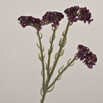 Fiore artificiale lavanda AYISHA, effetto secco, rosso bordeaux, 65 cm