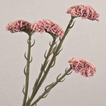 Fiore artificiale spartina AYISHA, effetto secco, rosa antico, 65 cm