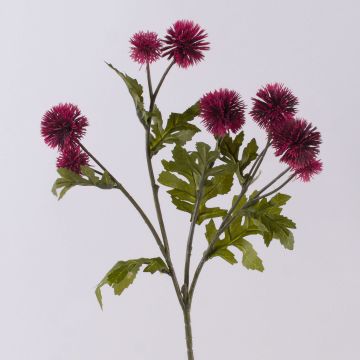 Ramo di fiordaliso artificiale TRUDBERTA, effetto secco, rosso bordeaux, 55cm, Ø3-4cm Ramo di fiordaliso artificiale TRUDBERTA, effetto secco, rosso bordeaux, 55cm, Ø3-4cm