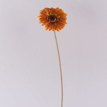 Gerbera artificiale TUNGUSKA, effetto secco, arancione, 50 cm