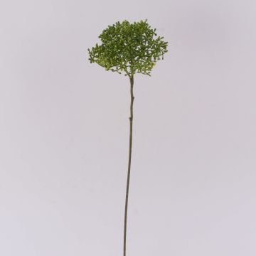 Viorella VARINKA con boccioli, effetto secco, verde, 55 cm