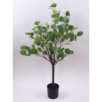 Albero di eucalipto artificiale WISGARD, tronco artificiale, verde-grigio, 90cm Albero di eucalipto artificiale WISGARD, tronco artificiale, verde-grigio, 90cm
