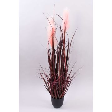 Erba della pampa artificiale WERNHILD con pannocchie, vaso decorativo, rosso-marrone, 90cm Erba della pampa artificiale WERNHILD con pannocchie, vaso decorativo, rosso-marrone, 90cm