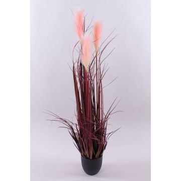 Erba della pampa artificiale WERNHILD con pannocchie, vaso decorativo, rosso-marrone, 120cm Erba della pampa artificiale WERNHILD con pannocchie, vaso decorativo, rosso-marrone, 120cm