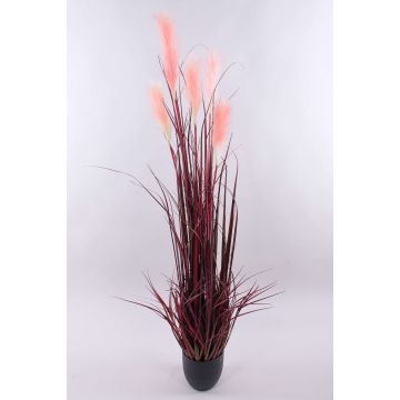 Erba della pampa artificiale WERNHILD con pannocchie, vaso decorativo, rosso-marrone, 150cm Erba della pampa artificiale WERNHILD con pannocchie, vaso decorativo, rosso-marrone, 150cm