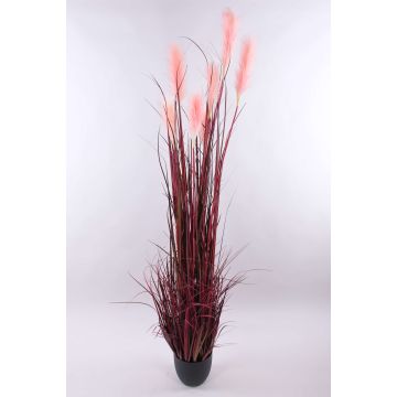 Erba della pampa artificiale WERNHILD con pannocchie, vaso decorativo, rosso-marrone, 180cm Erba della pampa artificiale WERNHILD con pannocchie, vaso decorativo, rosso-marrone, 180cm