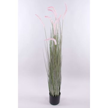 Erba decorativa per lampade PARIDKO con pannocchie, rosa-verde, 150cm