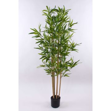Bambù artificiale SEUMAS, canne di bambù vero, 150cm Bambù artificiale SEUMAS, canne di bambù vero, 150cm