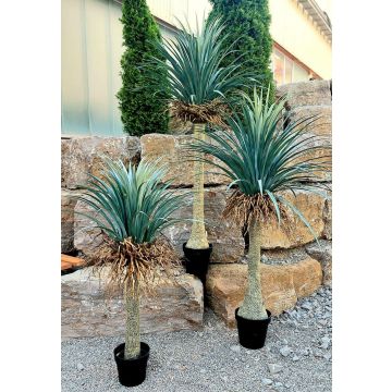 Yucca rostrata artificiale HARDIN, vaso decorativo, 120 cm