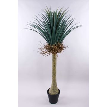 Yucca rostrata artificiale HARDIN, vaso decorativo, 160cm