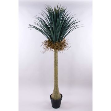 Yucca rostrata artificiale HARDIN, vaso decorativo, 180cm