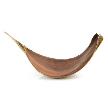 Grande foglia di cocco essiccata CHIPUNA, marrone, 30-120 cm