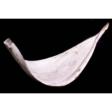 Grande foglia di cocco essiccata CHIPUNA, sbiancata, 30-80 cm