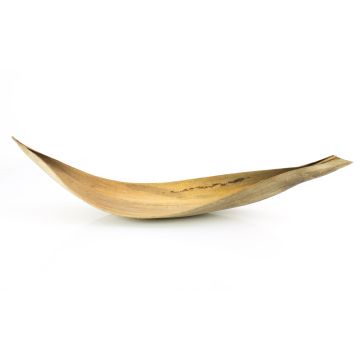 Grande foglia di cocco essiccata CHIPUNA, beige-marrone, 60-80 cm
