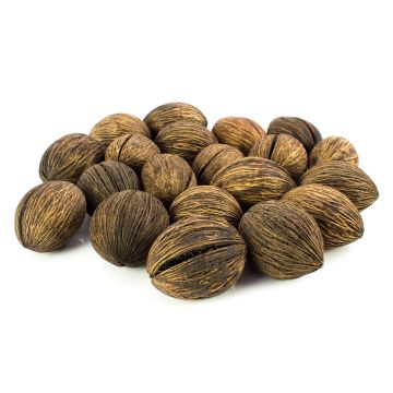 Noce dell'albero di Cerbero Mintola KARABO, marrone, 20 pezzi, 5x6 cm