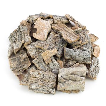 Decorazione spargibile in corteccia di betulla RANDY, sbiancata, 6x7 cm