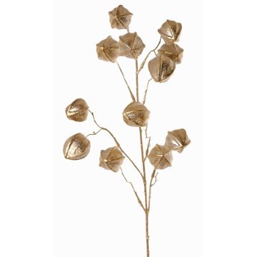 Ramo decorativo di physalis DUGONG con frutti, dorato, 90cm
