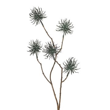 Ramo artificiale di hamamelis NUMBAT con fiori, verde scuro, 70 cm, Ø 5 cm Ramo artificiale di hamamelis NUMBAT con fiori, verde scuro, 70 cm, Ø 5 cm