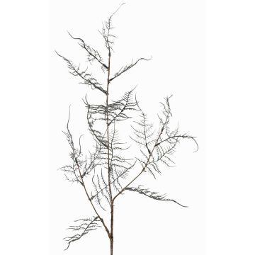 Ramo artificiale di Asparagus acutifolius NYALA, verde scuro, 85cm