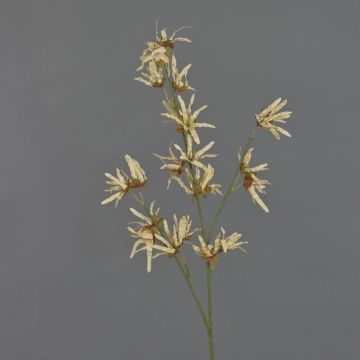 Ramo artificiale di hamamelis ORAFA con fiori, beige, 80 cm Ramo artificiale di hamamelis ORAFA con fiori, beige, 80 cm