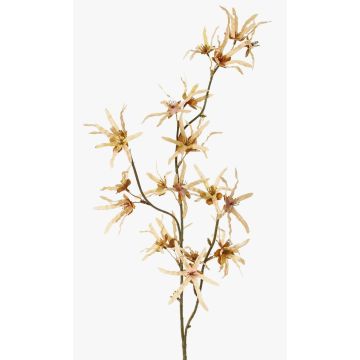 Ramo artificiale di hamamelis ORAFA con fiori, beige, 80cm, Ø4-8cm