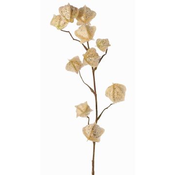 Ramo artificiale di physalis AINOS, frutti, glitter, crema, 80cm