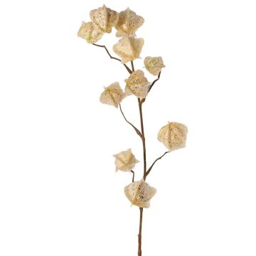 Ramo artificiale di physalis AINOS, frutti, glitter, crema, 80 cm