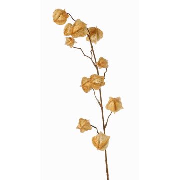 Ramo artificiale di Physalis AINOS, frutti, glitter, beige, 80cm