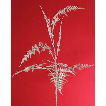 Ramo decorativo di Asparagus plumosus GIONA, argento, 85cm