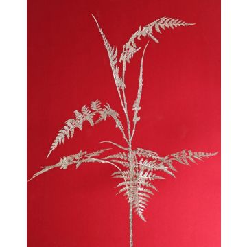 Ramo decorativo di Asparagus plumosus GIONA, argento, 85 cm