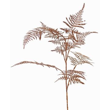 Ramo decorativo Asparagus plumosus GIONA, rame, 85cm