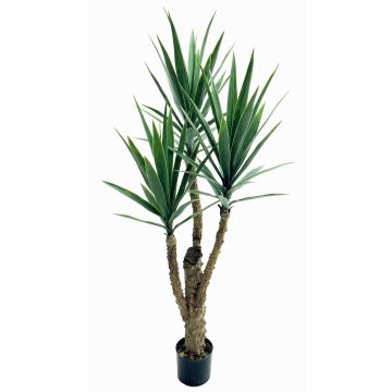 Palma yucca artificiale HIMBERGA, 150cm