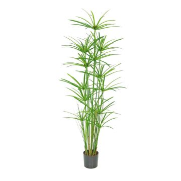 Erba cipriota artificiale LEITHA, verde, 150 cm