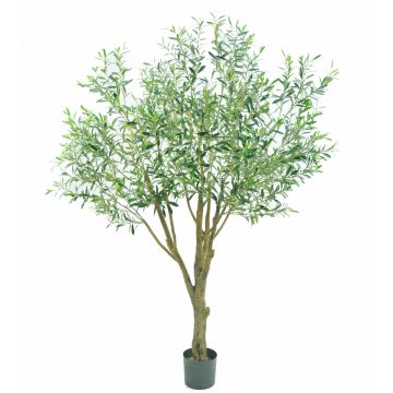 Olivo in plastica BITAC, tronco artificiale, 200 cm