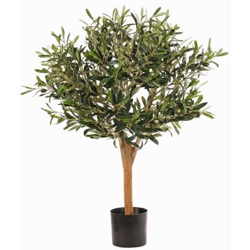 Olivo artificiale ZISGÖ, frutti, tronco vero, 85cm Olivo artificiale ZISGÖ, frutti, tronco vero, 85cm