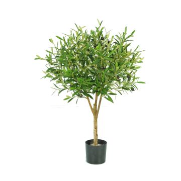Olivo artificiale ZISGÖ, frutti, tronco vero, 85 cm